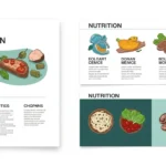 Best Protein Foods for Health