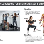 How to build muscle fast for beginners