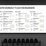 Gym workout plan for beginners step by step