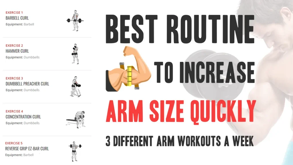 Arm Workout for Muscle Growth