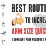 Arm Workout for Muscle Growth